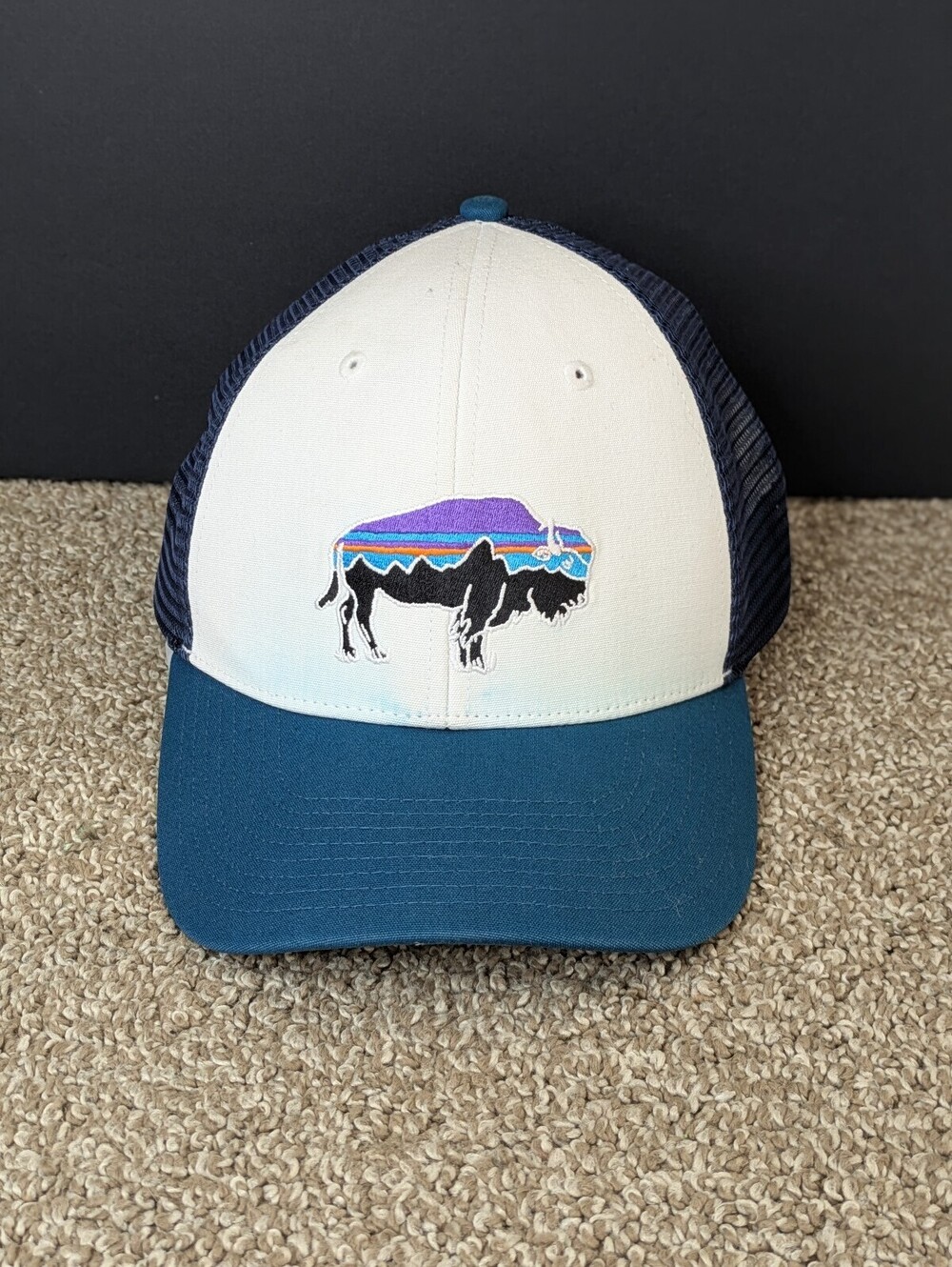 Patagonia Fitz Roy Bison Trucker Hat OSFM Size Adjustable Blue White Snapback